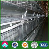 China Supplier Steel Structure Poultry Shed