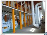 Wheat Flour Milling, Maize Milling, Flour Milling Plant, Semolina Mill