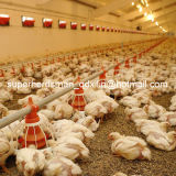 Full Set Automatic Poultry Equipments for Broiler