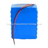 18.5V 20ah Li Ion Battery Pack by 18650 Cell