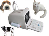Clinic Based Veterinary Ultrasound Equipment for Animal Use