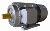High-Pressure Washer Motor