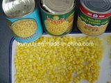 Canned Sweet Corn with High Quality