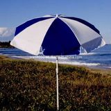 Beach Umbrella