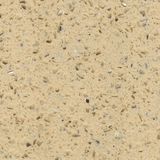 Quartz Stone for Floor/Wall/Work-Top (QG261)