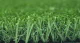 Arificial Turf