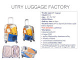 PC Luggage Set, Luggage Case, Travel Luggage, Luggage Bag (UTLP1091)