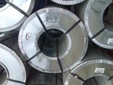 Galanized Steel Coil