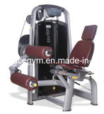 Fitness Body Building, Seated Leg Curl (AT-7817)