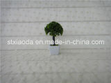 Plastic Bonsai (XD14-139)