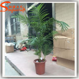 Home Decoration Artificial Plastic Bonsai Phoenix Palm Tree