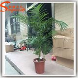 Home Decoration Artificial Plastic Bonsai Phoenix Palm Tree