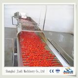 Fruit and Vegetable Washing Machine