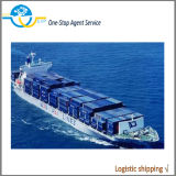 Sea Shipping Freight Forwarder to Paraguay