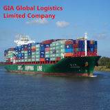Shipping From China to Brazil by Sea Freight