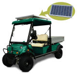 The Solar Panel Electric Vehicle Cargo Truck Express Work