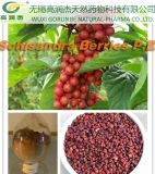 High Quality Natural Organic Magnoliavine/Schisandra Berries P. E. Schisandrin
