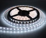 SMD3528/5050 LED Strip Light