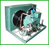Air Blast Frezzer Refrigeration Unit (SCBL-30A)