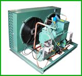 Air Blast Frezzer Refrigeration Unit (SCBL-30A)