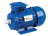 Y2 Series Three Phase Motor