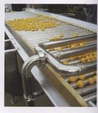 Professional Juice Processing Equipment