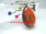Real Insect Amber Keychain Promotion Gift (IK12 Series)