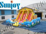 Inflatable Slide