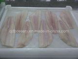 Frozen Halibute Fillet