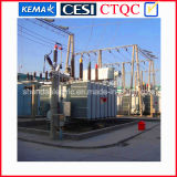 Power Transformer with Oil-Immersed Low-Loss Transformer