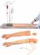 Adult Venipuncture and Injection Training Arm (GD/HS2)