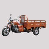 175CC Gasoline Tricycle (DF175F1-B)