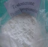 Testosterone Phenylpropionate Steroids Bodybuilding Bulk Powder Testosterone Phenylpropionate