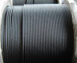 Line Contacted Wire Rope