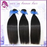 6A Grade Bulk Buy From China 2014 Brazilian Virgin Human Hair Silk Straight 8''-40'' 100g/PC