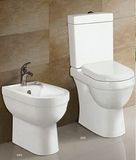 One -Piece Water Closet CE-T234