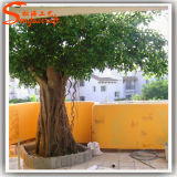 High Quality Artificial Live Ficus Banyan Tree