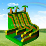 New Tropical Curve Inflatable Water Slide with Pool