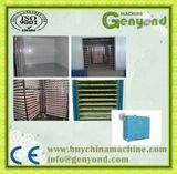 Continuous Belt Type Ginger Drying Machine