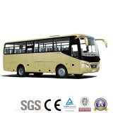 Competive Price Bus/Coach with Cummins Engine 25+1seats AC