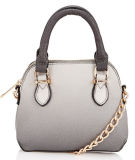 Latest Design Fashion Lady Handbag (LDO-15105)