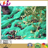 Agriculture HDPE Hengfang 80GSM Olive Net/Olive Netting
