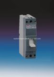 Slm3-125/1p, 2p Series Mould Case Circuit Breaker MCCB