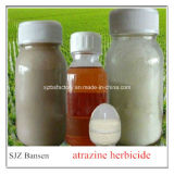 Herbicide 97% Tech 80%Wp 90%Dwg Atrazine with Good Price