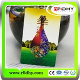 RFID Chip Card Contactless M1 S50 Smart Card (1K)