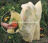 Tomato Protecting PP Non-Woven Cloth