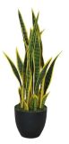 Artificial Plants and Flowers of Sansevieria Gu-Jf653