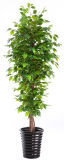 Indoor/ Outdoor Artificial Ficus Tree Ficus Bonsai 377