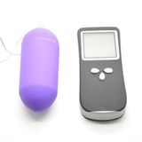Wireless Remote Egg