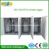 Cheap Large Chicken Poultry Egg Incubators Prices Hold 19712 Chicken Eggs Dlf-T30